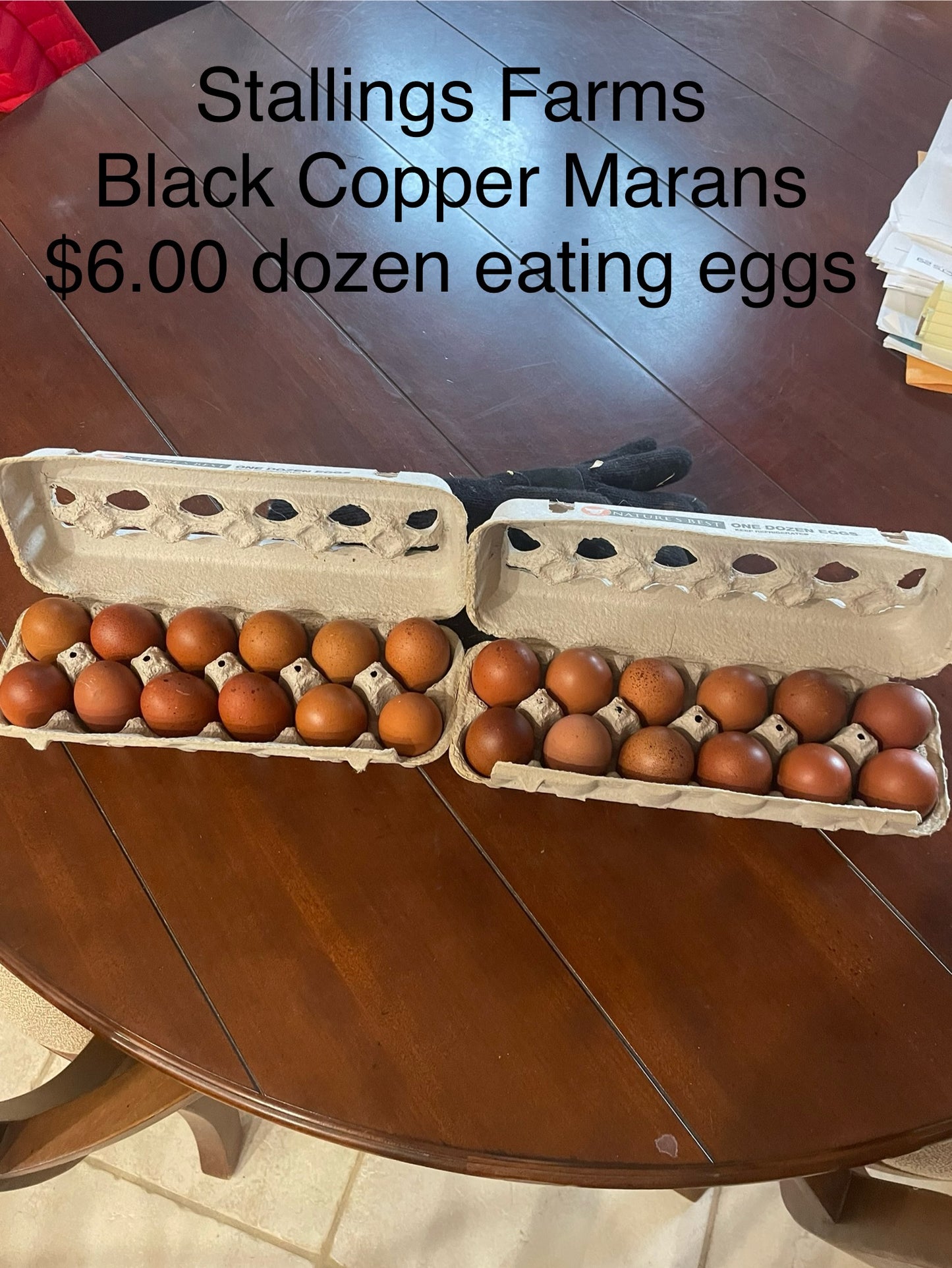 Black Copper Marans chicks. Purchase a dozen, shipping is free month of June.